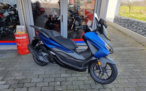 Neufahrzeug Honda Forza 125 - Bild 1