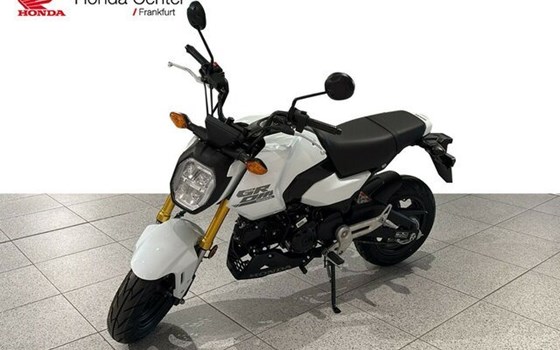 Neufahrzeug Honda MSX125 Grom - Bild 1
