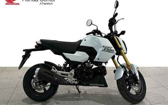 Neufahrzeug Honda MSX125 Grom - Bild 4