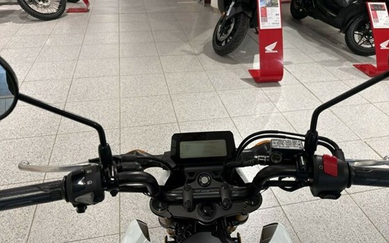 Neufahrzeug Honda MSX125 Grom - Bild 5