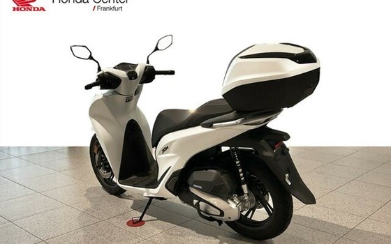 Neufahrzeug Honda SH125i - Bild 3