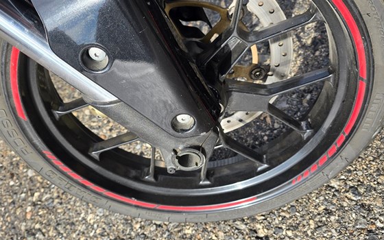 Gebrauchtmotorrad Derbi Mulhacen 659 - Bild 9