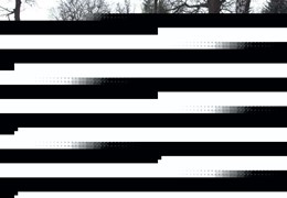 Neumotorrad Honda CMX500 Rebel