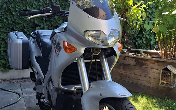 Gebrauchtmotorrad Aprilia Pegaso 650 - Bild 1