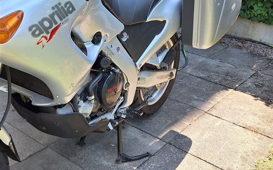 Gebrauchtmotorrad Aprilia Pegaso 650 - Bild 6