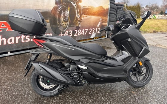 Neufahrzeug Honda NSS 300 Forza - Bild 5