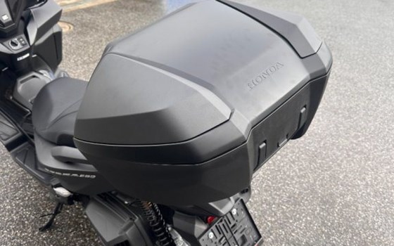 Neufahrzeug Honda NSS 300 Forza - Bild 6