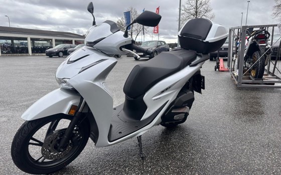 Neufahrzeug Honda SH150i - Bild 2