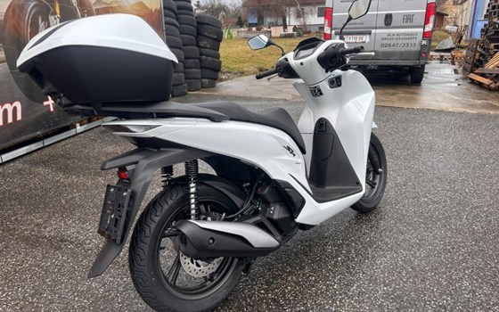 Neufahrzeug Honda SH150i - Bild 4