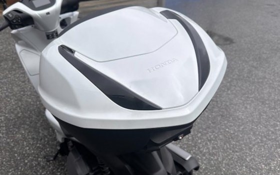 Neufahrzeug Honda SH150i - Bild 5
