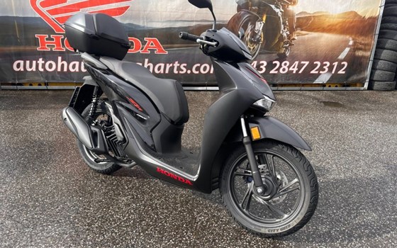 Neufahrzeug Honda SH150i - Bild 1