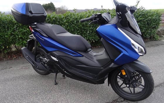 Gebrauchtmotorrad Honda Forza 125 - Bild 2