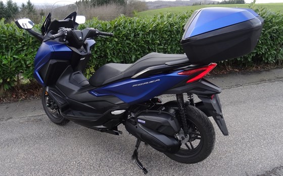 Gebrauchtmotorrad Honda Forza 125 - Bild 3