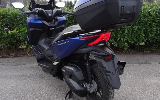 Gebrauchtmotorrad Honda Forza 125 - Bild 5