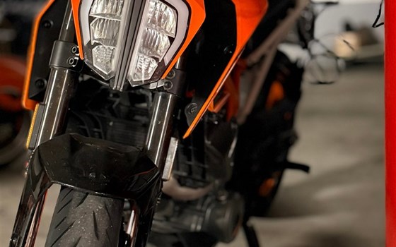 Motorrad Occasion KTM 390 Duke - Bild 2