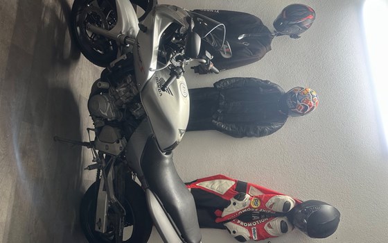 Gebrauchtmotorrad Honda CB 600 F Hornet - Bild 3