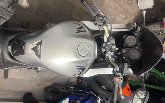 Gebrauchtmotorrad Honda CB 600 F Hornet - Bild 4