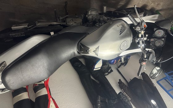 Gebrauchtmotorrad Honda CB 600 F Hornet - Bild 5