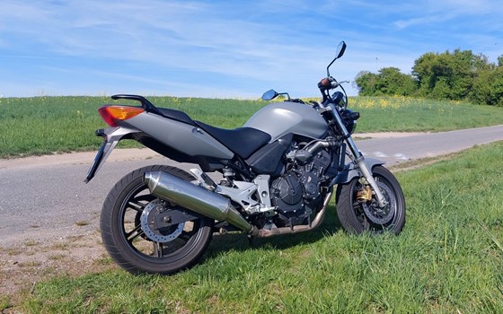 Gebrauchtmotorrad Honda CBF 600 - Bild 5