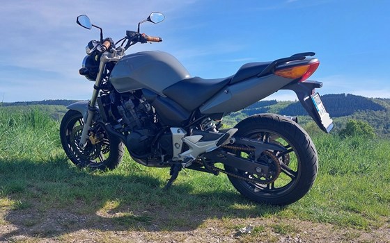 Gebrauchtmotorrad Honda CBF 600 - Bild 6