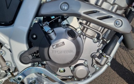 Neufahrzeug Honda CRF300L - Bild 8