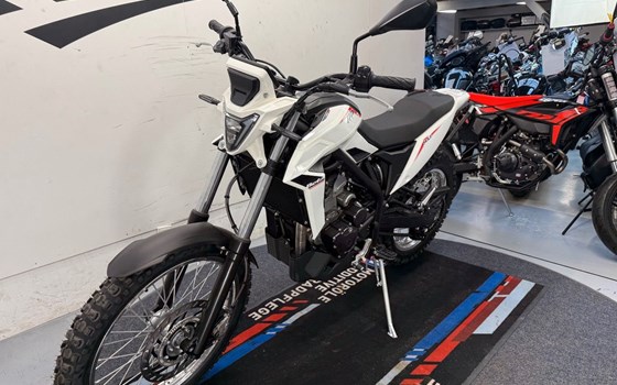 Neufahrzeug Beta Alp 4.0 - Bild 2