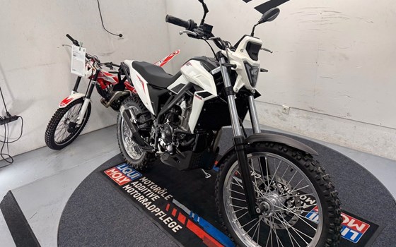 Neufahrzeug Beta Alp 4.0 - Bild 3