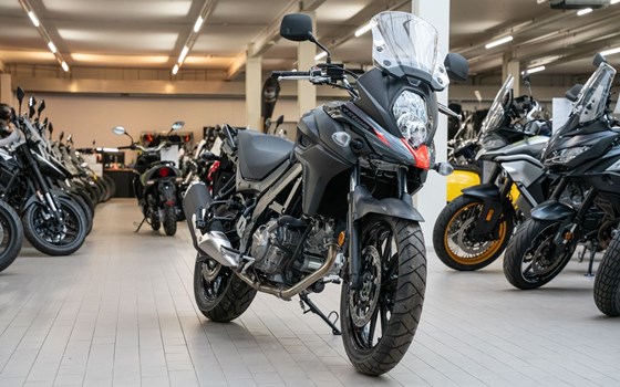 Neufahrzeug Suzuki V-Strom 650 - Bild 5