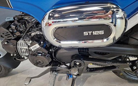 Neufahrzeug Honda Dax - Bild 4