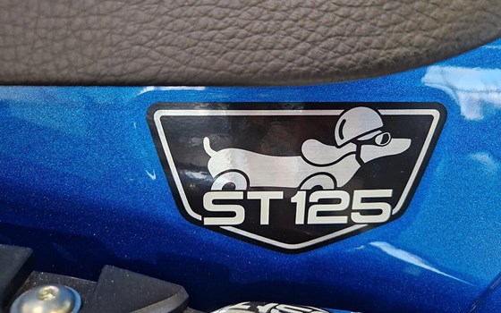 Neufahrzeug Honda Dax - Bild 7