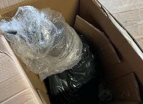 Gebrauchtmotorrad BMW F 900 R - Bild 25