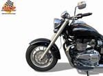 Angebot Triumph America