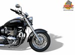 Angebot Triumph America