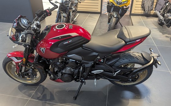 Neufahrzeug Triumph Trident 800 - Bild 3