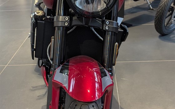 Neufahrzeug Triumph Trident 800 - Bild 4