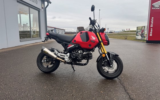 Gebrauchtmotorrad Honda MSX125 Grom - Bild 2