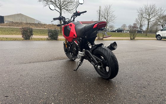 Gebrauchtmotorrad Honda MSX125 Grom - Bild 4