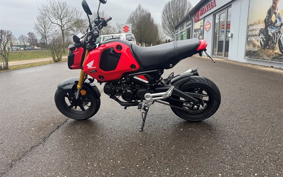 Gebrauchtmotorrad Honda MSX125 Grom - Bild 5