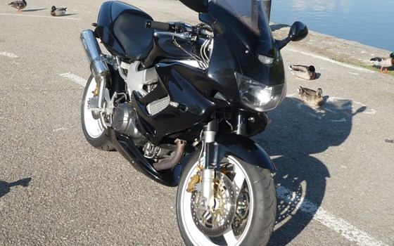 Gebrauchtmotorrad Honda VTR 1000 F Fire Storm - Bild 10