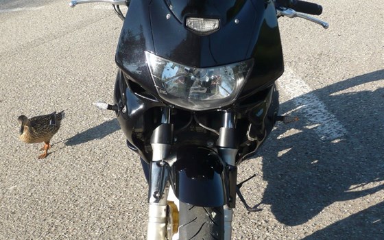 Gebrauchtmotorrad Honda VTR 1000 F Fire Storm - Bild 9