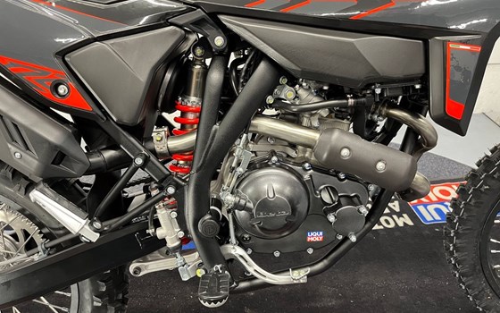 Neufahrzeug Beta RR 4T 125 T - Bild 12