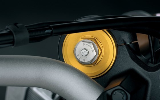 Neufahrzeug Suzuki V-Strom 800DE - Bild 10