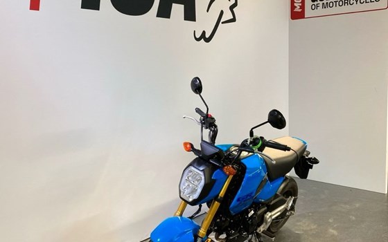 Gebrauchtmotorrad Honda MSX125 Grom - Bild 8