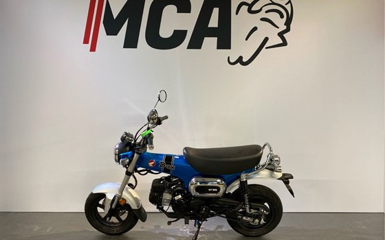 Gebrauchtmotorrad Honda SH125 - Bild 5