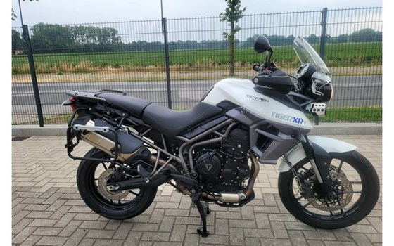 Gebrauchtmotorrad Triumph Tiger 800 XRT - Bild 13