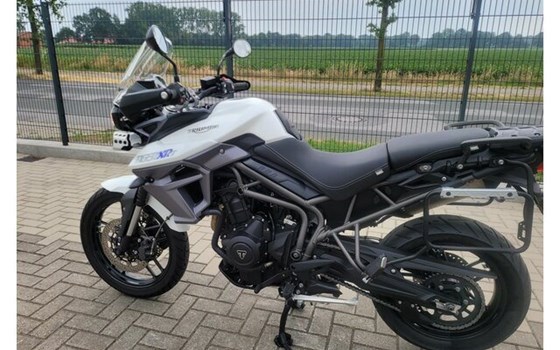 Gebrauchtmotorrad Triumph Tiger 800 XRT - Bild 8