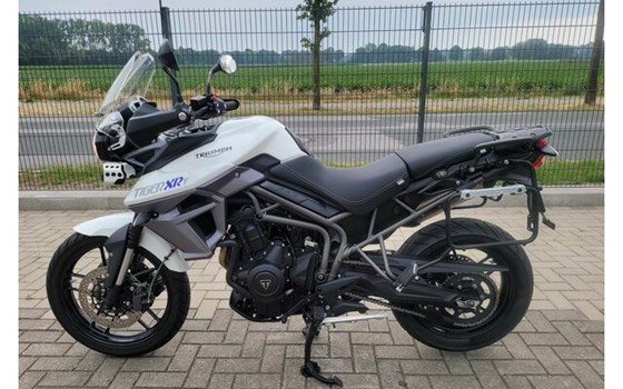 Gebrauchtmotorrad Triumph Tiger 800 XRT - Bild 9