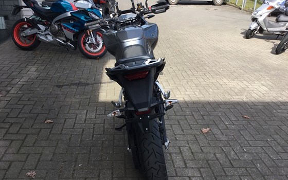 Neufahrzeug Zero DSR - Bild 4