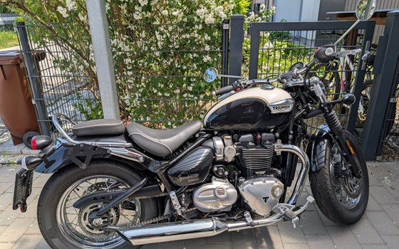 Gebrauchtmotorrad Triumph Bonneville Speedmaster - Bild 5