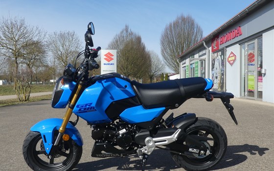 Neufahrzeug Honda MSX125 Grom - Bild 3